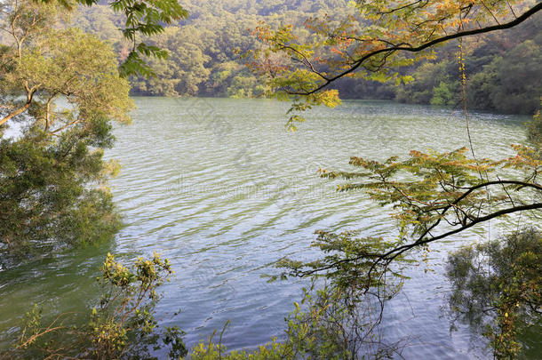 阿尔卑斯山厦门建筑学地区亚洲