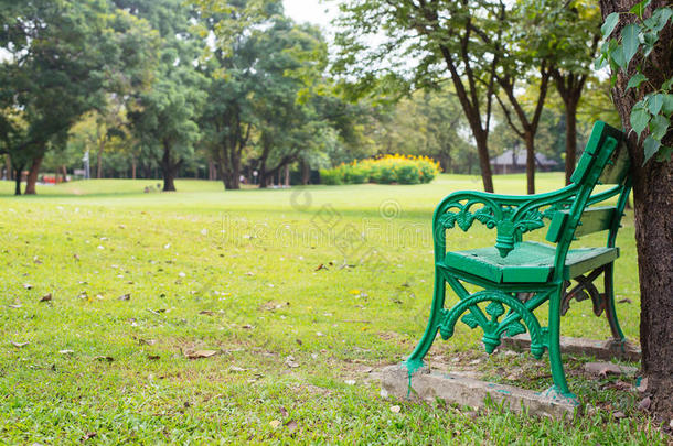 树下的长凳，美丽多彩的秋天公园，晴天