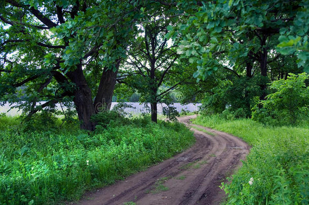 田野里的路