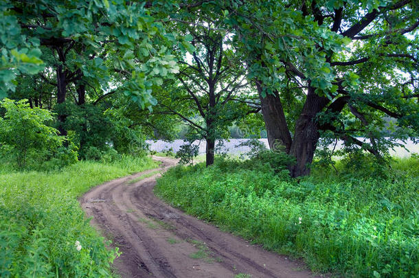 田野里的路