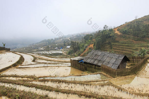 原住民农业在…之间亚洲亚洲的