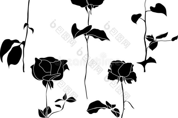 黑白玫瑰图标集合