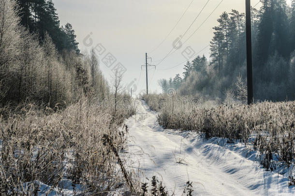 冬季景观中空旷的积雪路面