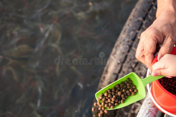 成人水生的小孩喂养饲养员