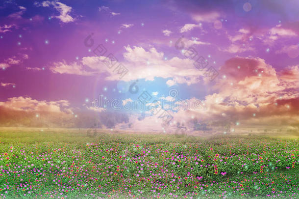 抽象的色彩斑斓的梦幻般的天空中有鲜花的田野
