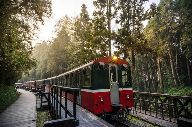 阿里山森林铁路