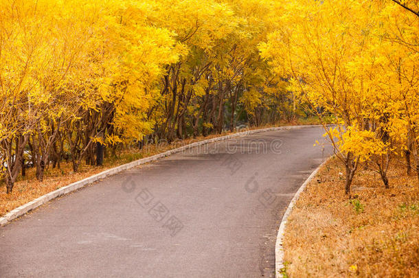 美丽的<strong>太阳升起</strong>的天空与沥青公路道路