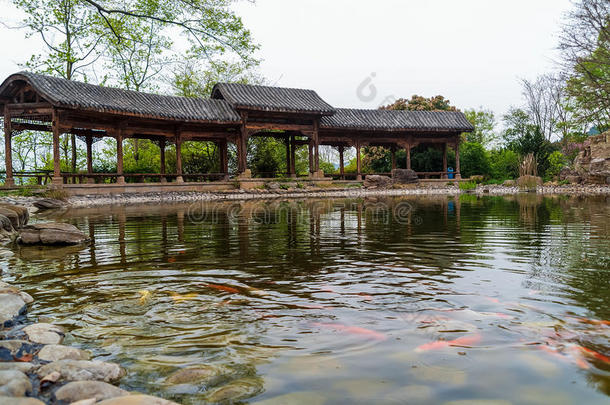鱼池前的长廊中国休息观赏。