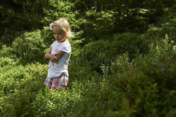 孩子金发小女孩在森林的蓝莓地里采摘新鲜浆果。