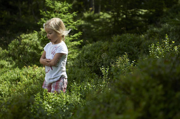 孩子金发小女孩在森林的蓝莓地里采摘新鲜浆果。