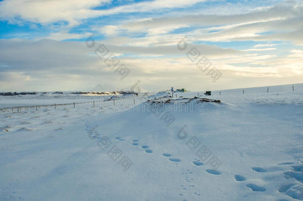 冬天雪地上的脚步声