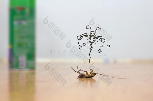 地板上死蟑螂，害虫防治概念