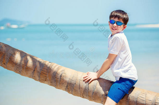 可爱的小男孩在热带海滩<strong>坐在</strong>棕榈<strong>树上</strong>