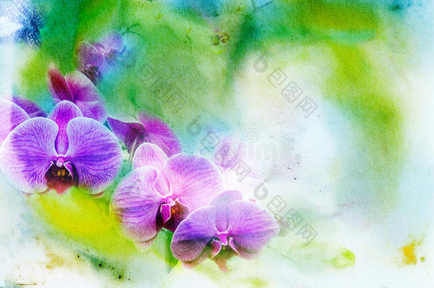花蝴蝶兰的抽象水彩插图。