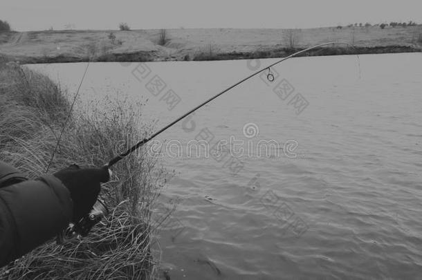 在河里钓鱼