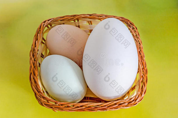 收集鸡蛋，大白鹅蛋，浅绿色鸭蛋，浅棕色鸡蛋，带草的棕色篮子，黄色