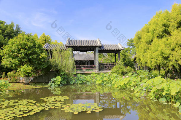 有游泳池的中国古典花园