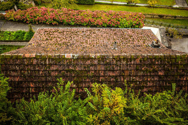 古老的屋顶从卢森堡的瓷砖特写