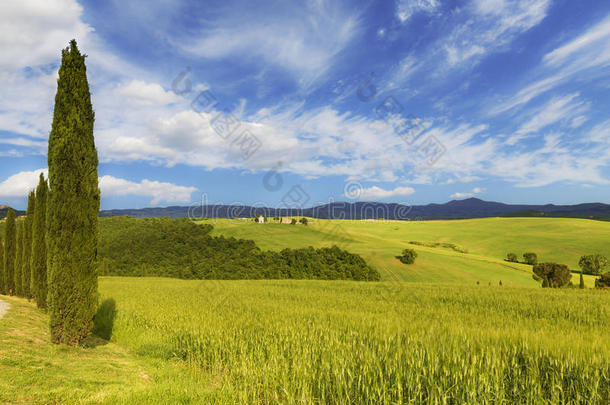 农业，背景，美丽，美丽，云彩，五颜六色，乡村，乡村，柏树，白天，环境，欧洲，田野，GR