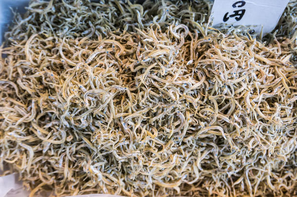 <strong>鱼类</strong>出售在Tsukiji<strong>鱼类</strong>市场，日本