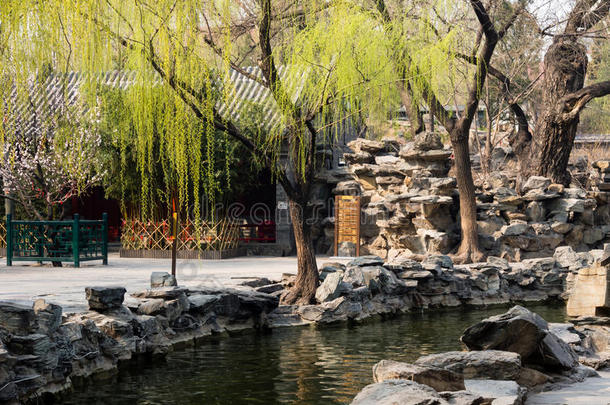 有池塘的<strong>中国古典</strong>花园
