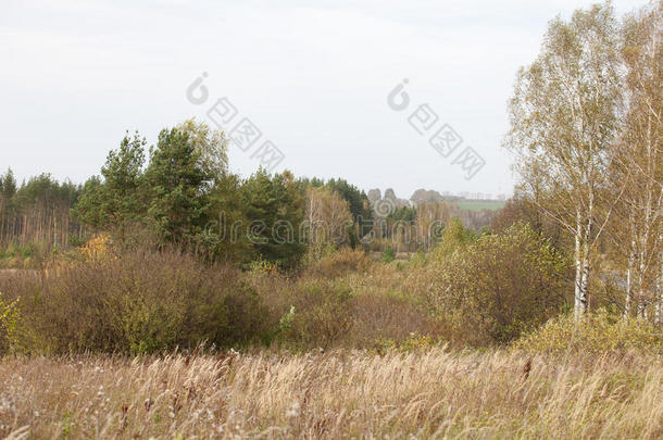 秋天的风景。 秋天的公园。 秋天的风景