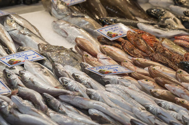 鱼类市场上的新鲜鱼类-希腊