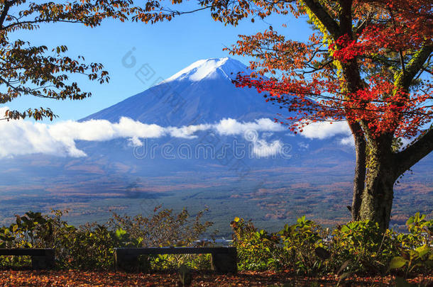 山的秋天。 日本富士，黄色很好