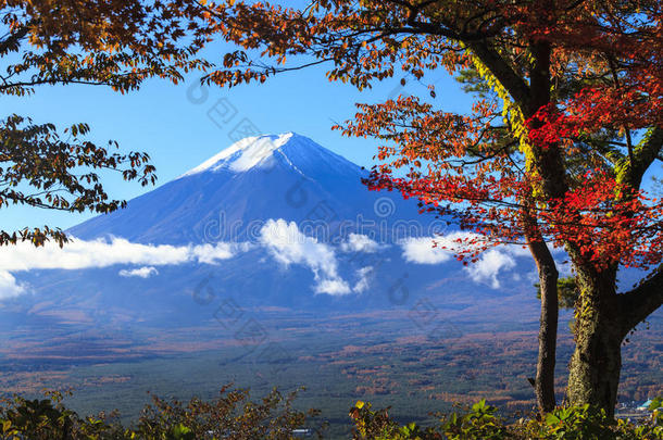 山的秋天。 日本富士，黄色很好