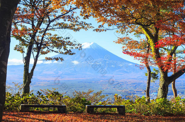 山的秋天。 日本富士，黄色很好
