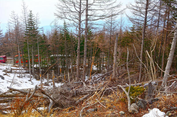 亚洲亚洲的雪崩火山口乡村