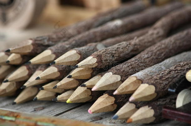 由各<strong>种树</strong>枝制成的木制铅笔的收藏