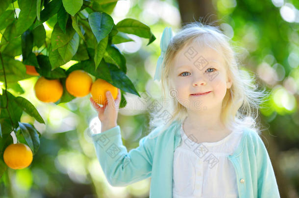 可爱的小女孩在阳光明媚的<strong>橘子</strong>花园里采摘新鲜成熟的<strong>橘子</strong>