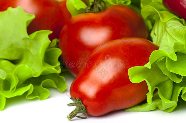鲜红的西红柿和新鲜的绿色生菜