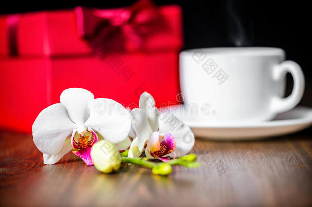 节日概念的母亲节与问候红盒，兰花fl