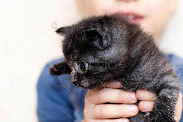 黑色男孩猫白种人小孩