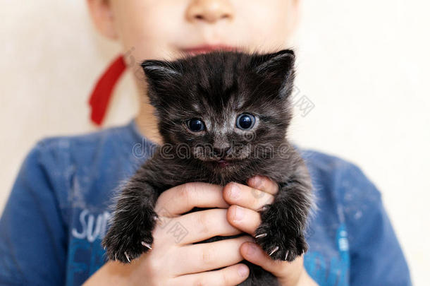 黑色男孩猫白种人小孩