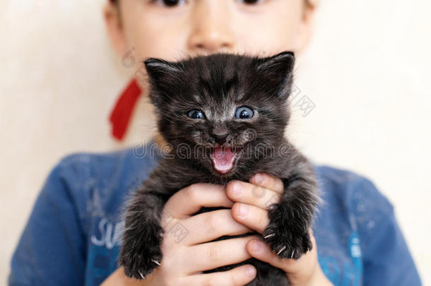 黑色男孩猫白种人小孩