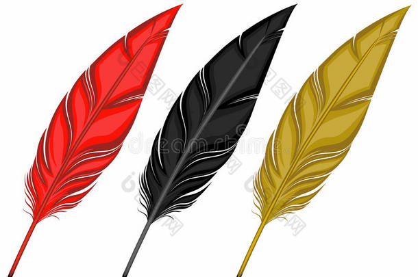 黑色红色金色羽毛用于写作。 不同的颜色