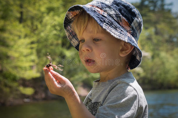 <strong>探索大自然</strong>的男孩发现了一只蜻蜓