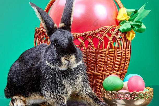 毛皮兔子坐在柳条篮子和一个花瓶与复活节鸡蛋