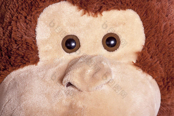 玩具猴子的眼睛和鼻子的特写