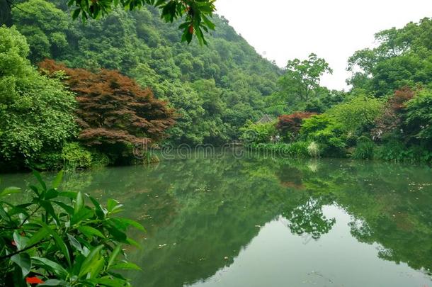 中国杭州九溪，龙井