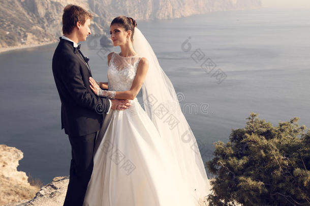 一对漂亮的夫妇。 华丽的新娘穿着婚纱，与优雅的新郎在海上的费用
