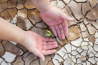 农民用裂开的土地保护播种图片