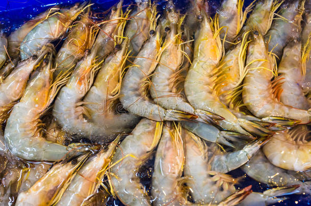 泰国海鲜市场的新鲜虾