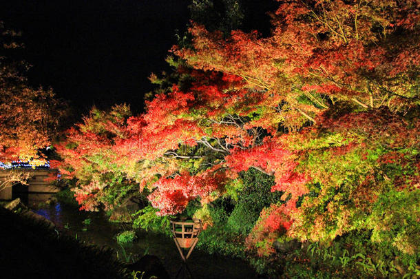 秋天著名的日本风景树叶