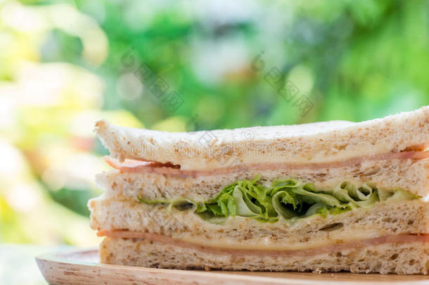 带有绿色Bokeh背景的火腿三明治。