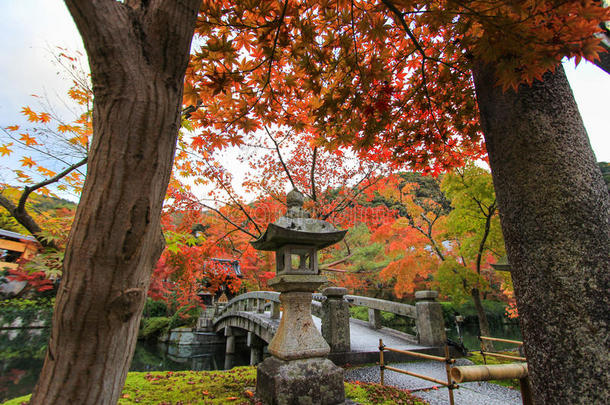 秋天的Eikando寺(Zenrin-ji