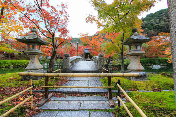 秋天的Eikando寺(Zenrin-ji